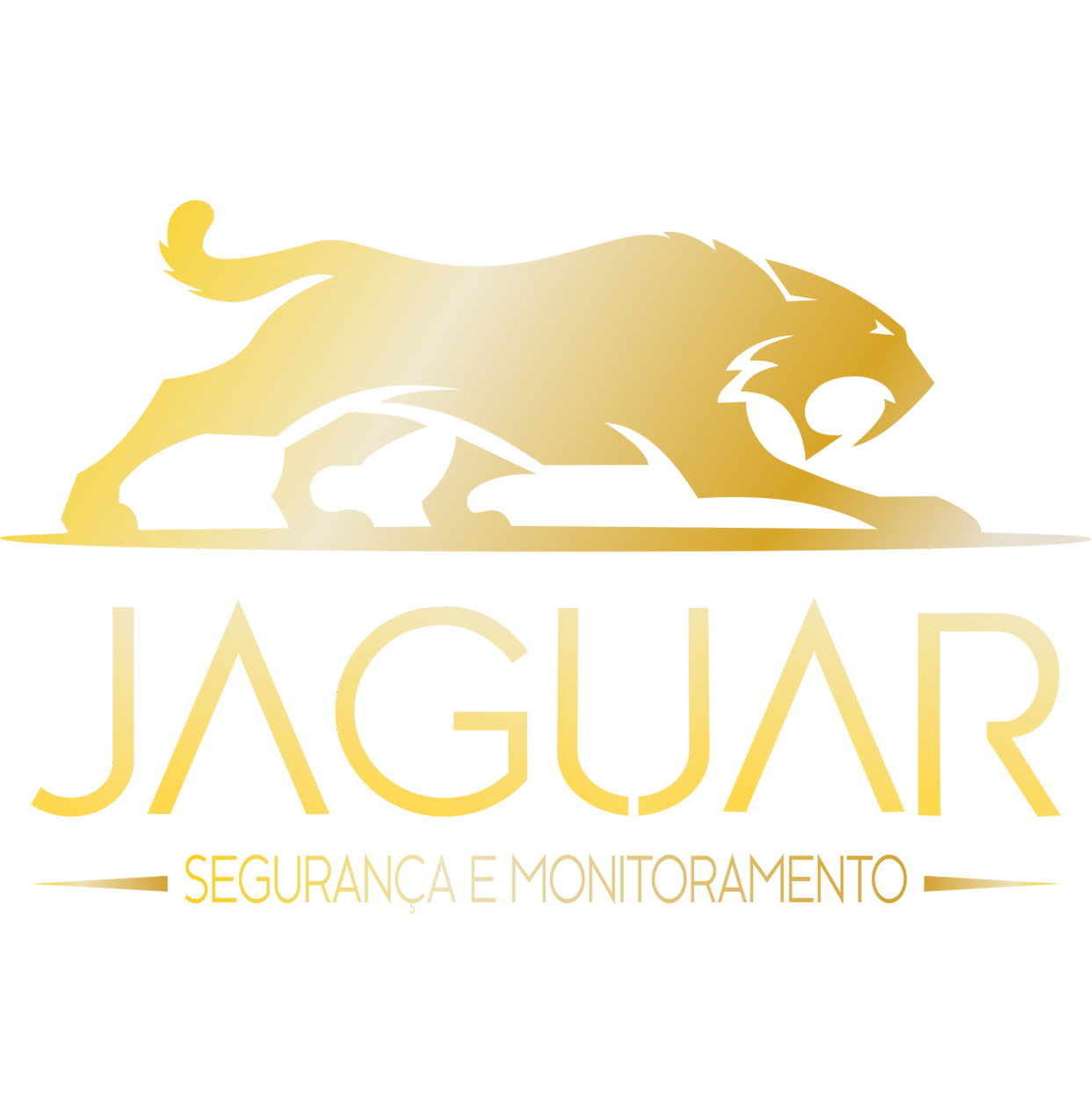 Jaguar Monitoramento